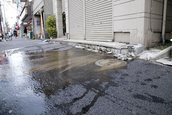 【大家さんが知っておきたい保険商品】どんどん増え続ける地震と加入者。「地震保険」は備えあれば患いなし！