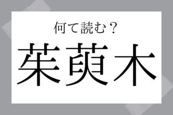 【難読地名】茱萸木（くみのき）