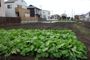 「不動産の2022年問題」で地価暴落は起きない！？その背景と理由を解説